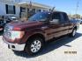 2010 Cooper /Tan Ford F-150 (1FTEX1C81AF) with an 8 Cyl engine, Automatic transmission, located at 15016 S Hwy 231, Midland City, AL, 36350, (334) 983-3001, 31.306210, -85.495277 - Photo#2