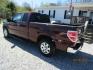 2010 Cooper /Tan Ford F-150 (1FTEX1C81AF) with an 8 Cyl engine, Automatic transmission, located at 15016 S Hwy 231, Midland City, AL, 36350, (334) 983-3001, 31.306210, -85.495277 - Photo#5