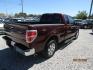 2010 Cooper /Tan Ford F-150 (1FTEX1C81AF) with an 8 Cyl engine, Automatic transmission, located at 15016 S Hwy 231, Midland City, AL, 36350, (334) 983-3001, 31.306210, -85.495277 - Photo#7
