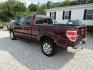 2010 Cooper /Tan Ford F-150 (1FTEX1C81AF) with an 8 Cyl engine, Automatic transmission, located at 15016 S Hwy 231, Midland City, AL, 36350, (334) 983-3001, 31.306210, -85.495277- Photo#5