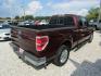 2010 Cooper /Tan Ford F-150 (1FTEX1C81AF) with an 8 Cyl engine, Automatic transmission, located at 15016 S Hwy 231, Midland City, AL, 36350, (334) 983-3001, 31.306210, -85.495277- Photo#7