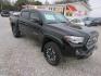 2016 Black /Gray Toyota Tacoma SR5 Double Cab Long Bed V6 5AT 2WD (5TFAZ5CN4GX) , Automatic transmission, located at 15016 S Hwy 231, Midland City, AL, 36350, (334) 983-3001, 31.306210, -85.495277 - Photo#0