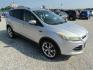2014 Silver /Gray Ford Escape Titanium FWD (1FMCU0J96EU) with an 2.0L L4 DOHC 16V engine, Automatic transmission, located at 15016 S Hwy 231, Midland City, AL, 36350, (334) 983-3001, 31.306210, -85.495277 - Photo#0