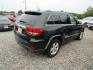2011 Green /Black Jeep Grand Cherokee Laredo 2WD (1J4RS4GG1BC) with an 3.6L V6 DOHC 24V engine, Automatic transmission, located at 15016 S Hwy 231, Midland City, AL, 36350, (334) 983-3001, 31.306210, -85.495277 - Photo#7