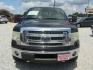2013 Black Ford F-150 XLT SuperCrew 6.5-ft. Bed 4WD (1FTFW1ET9DF) with an 3.5L V6 TURBO engine, Automatic transmission, located at 15016 S Hwy 231, Midland City, AL, 36350, (334) 983-3001, 31.306210, -85.495277 - Photo#1