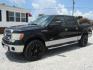 2013 Black Ford F-150 XLT SuperCrew 6.5-ft. Bed 4WD (1FTFW1ET9DF) with an 3.5L V6 TURBO engine, Automatic transmission, located at 15016 S Hwy 231, Midland City, AL, 36350, (334) 983-3001, 31.306210, -85.495277 - Photo#2