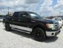 2013 Black Ford F-150 XLT SuperCrew 6.5-ft. Bed 4WD (1FTFW1ET9DF) with an 3.5L V6 TURBO engine, Automatic transmission, located at 15016 S Hwy 231, Midland City, AL, 36350, (334) 983-3001, 31.306210, -85.495277 - Photo#0