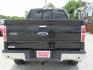 2013 Black Ford F-150 XLT SuperCrew 6.5-ft. Bed 4WD (1FTFW1ET9DF) with an 3.5L V6 TURBO engine, Automatic transmission, located at 15016 S Hwy 231, Midland City, AL, 36350, (334) 983-3001, 31.306210, -85.495277 - Photo#6