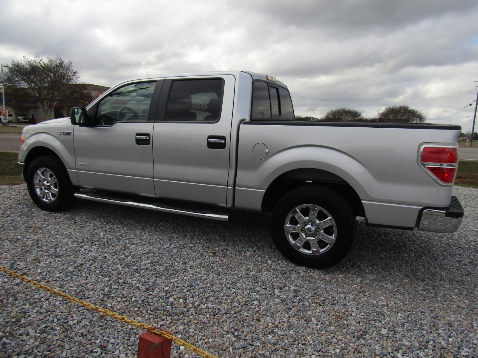 2014 Silver /Gray Ford F-150 Platinum SuperCrew 6.5-ft. Bed 2WD (1FTFW1CT9EK) with an 3.5L V6 TURBO engine, Automatic transmission, located at 15016 S Hwy 231, Midland City, AL, 36350, (334) 983-3001, 31.306210, -85.495277 - Photo #5