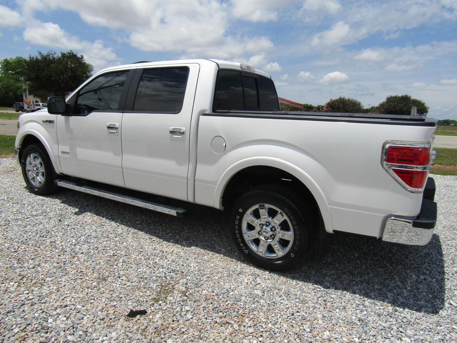 2013 White /Tan Ford F-150 Platinum SuperCrew 6.5-ft. Bed 2WD (1FTFW1CT0DK) with an 3.5L V6 TURBO engine, Automatic transmission, located at 15016 S Hwy 231, Midland City, AL, 36350, (334) 983-3001, 31.306210, -85.495277 - Photo #5