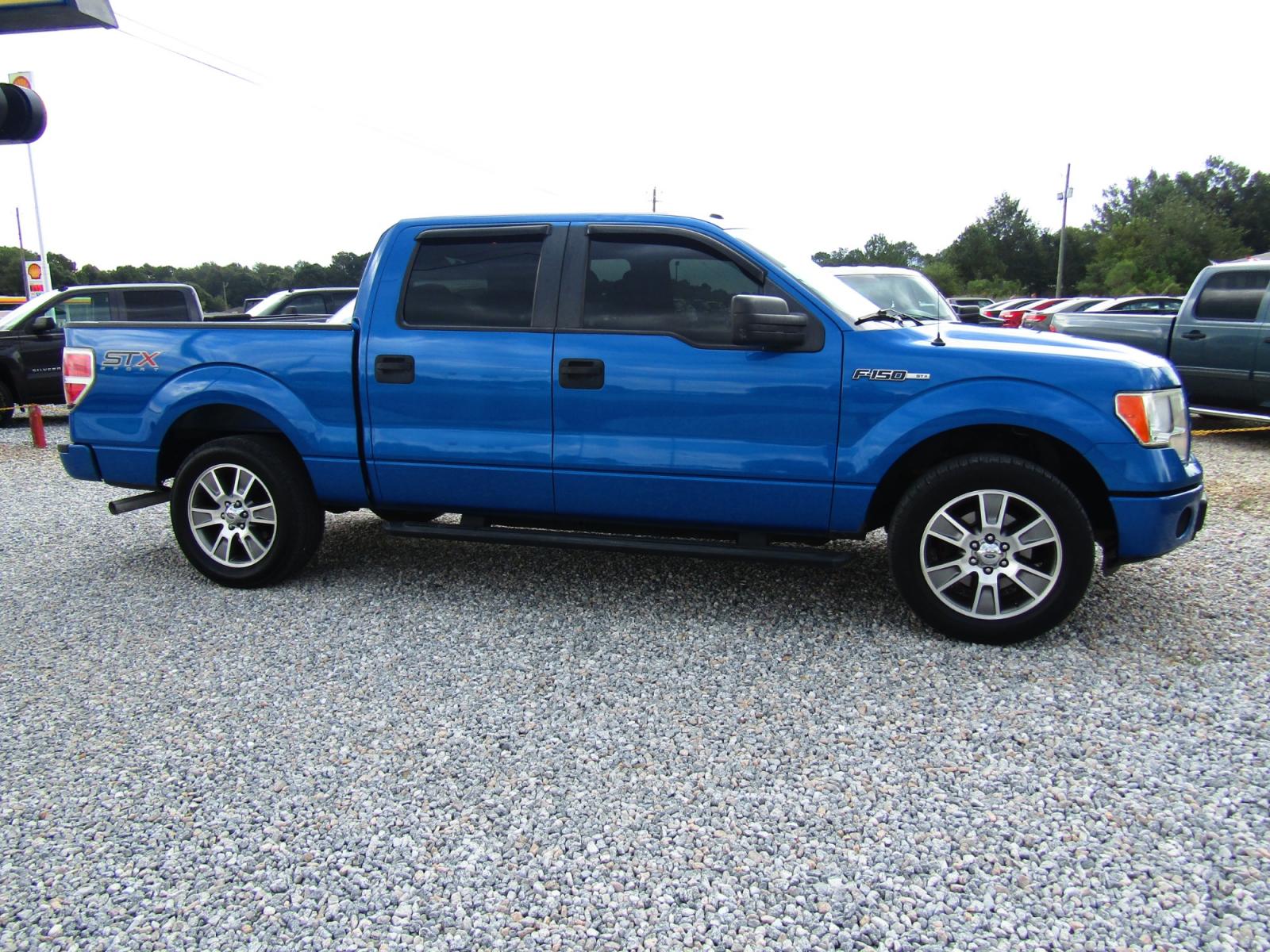 2014 Blue /Gray Ford F-150 FX2 SuperCrew 5.5-ft. Bed 2WD (1FTFW1CF5EK) with an 5.0L V8 engine, Automatic transmission, located at 15016 S Hwy 231, Midland City, AL, 36350, (334) 983-3001, 31.306210, -85.495277 - Photo #0