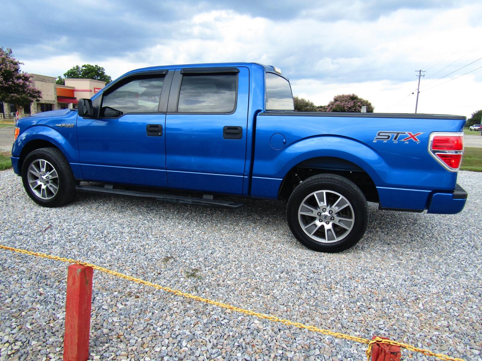 2014 Blue /Gray Ford F-150 FX2 SuperCrew 5.5-ft. Bed 2WD (1FTFW1CF5EK) with an 5.0L V8 engine, Automatic transmission, located at 15016 S Hwy 231, Midland City, AL, 36350, (334) 983-3001, 31.306210, -85.495277 - Photo #5