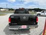 2011 Black /Tan Nissan Titan (1N6BA0ED1BN) with an 8 Cyc engine, Automatic transmission, located at 15016 S Hwy 231, Midland City, AL, 36350, (334) 983-3001, 31.306210, -85.495277 - Photo#7