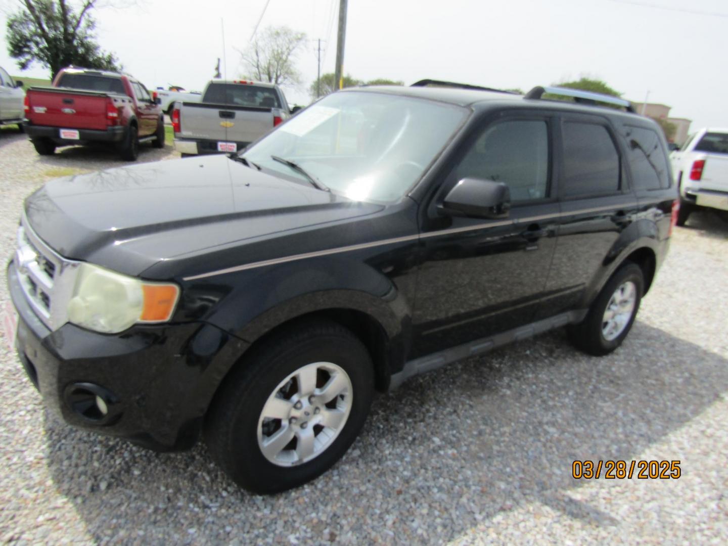 2010 Black Ford Escape Limited FWD (1FMCU0EG8AK) with an 3.0L V6 DOHC 24V engine, Automatic transmission, located at 15016 S Hwy 231, Midland City, AL, 36350, (334) 983-3001, 31.306210, -85.495277 - Photo#2