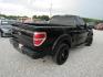 2010 Black /Gray Ford F-150 STX 6.5-ft. Bed 2WD (1FTMF1CW8AK) with an 4.6L V8 SOHC 24V engine, Automatic transmission, located at 15016 S Hwy 231, Midland City, AL, 36350, (334) 983-3001, 31.306210, -85.495277- Photo#6
