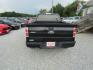 2010 Black /Gray Ford F-150 STX 6.5-ft. Bed 2WD (1FTMF1CW8AK) with an 4.6L V8 SOHC 24V engine, Automatic transmission, located at 15016 S Hwy 231, Midland City, AL, 36350, (334) 983-3001, 31.306210, -85.495277- Photo#5