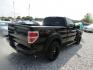 2010 Black /Gray Ford F-150 STX 6.5-ft. Bed 2WD (1FTMF1CW8AK) with an 4.6L V8 SOHC 24V engine, Automatic transmission, located at 15016 S Hwy 231, Midland City, AL, 36350, (334) 983-3001, 31.306210, -85.495277 - Photo#6