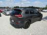 2016 Black Jeep Cherokee Limited FWD (1C4PJLDSXGW) with an 3.2L V6 DOHC 24V engine, Automatic transmission, located at 15016 S Hwy 231, Midland City, AL, 36350, (334) 983-3001, 31.306210, -85.495277 - Photo#7