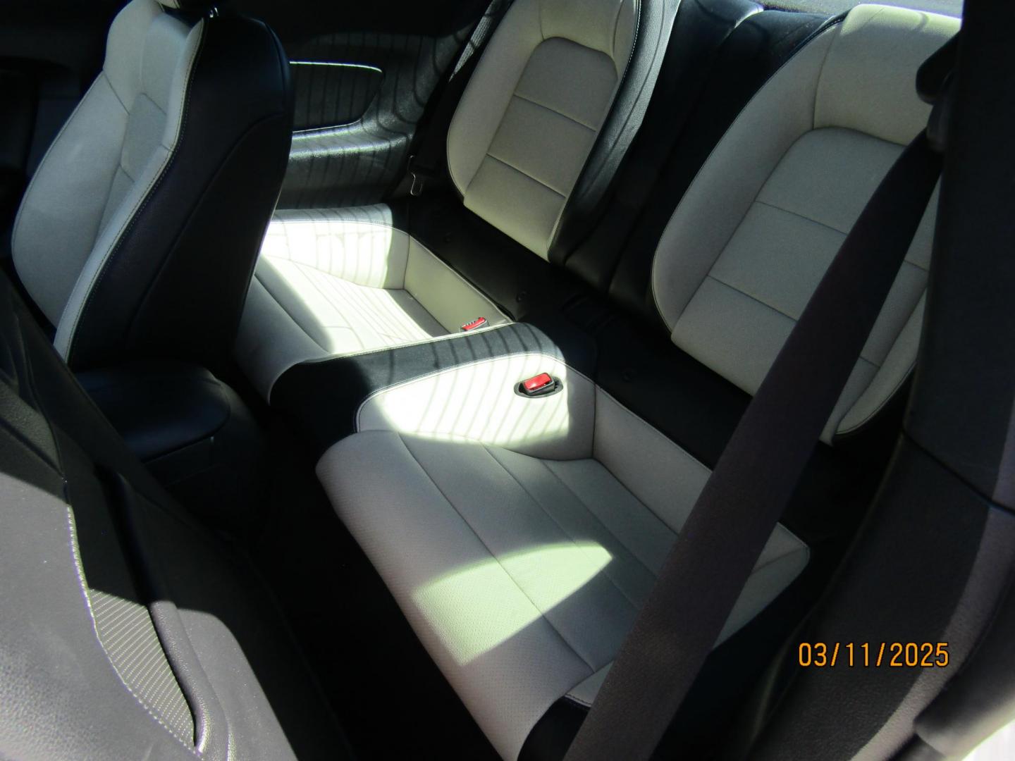 2015 White Ford Mustang EcoBoost Coupe (1FA6P8TH6F5) with an 2.3L L4 DOHC 16V engine, Automatic transmission, located at 15016 S Hwy 231, Midland City, AL, 36350, (334) 983-3001, 31.306210, -85.495277 - Photo#4
