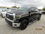 2014 Black Toyota Tundra SR5 5.7L V8 CrewMax 2WD (5TFEY5F13EX) with an 5.7L V8 DOHC 32V engine, Automatic transmission, located at 15016 S Hwy 231, Midland City, AL, 36350, (334) 983-3001, 31.306210, -85.495277 - Photo#2