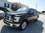 2015 Black Ford F-150 XLT SuperCrew 6.5-ft. Bed 4WD (1FTEW1CG9FF) with an 3.5L V6 TURBO engine, Automatic transmission, located at 15016 S Hwy 231, Midland City, AL, 36350, (334) 983-3001, 31.306210, -85.495277 - Photo#1