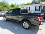 2015 Black Ford F-150 XLT SuperCrew 6.5-ft. Bed 4WD (1FTEW1CG9FF) with an 3.5L V6 TURBO engine, Automatic transmission, located at 15016 S Hwy 231, Midland City, AL, 36350, (334) 983-3001, 31.306210, -85.495277 - Photo#5