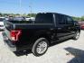 2015 Black Ford F-150 XLT SuperCrew 6.5-ft. Bed 4WD (1FTEW1CG9FF) with an 3.5L V6 TURBO engine, Automatic transmission, located at 15016 S Hwy 231, Midland City, AL, 36350, (334) 983-3001, 31.306210, -85.495277 - Photo#6