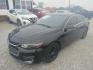 2016 Black Chevrolet Malibu 1LT (1G1ZE5ST0GF) with an 1.5L L4 DOHC 16V engine, Automatic transmission, located at 15016 S Hwy 231, Midland City, AL, 36350, (334) 983-3001, 31.306210, -85.495277 - Photo#2
