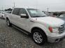 2013 WHITE Ford F-150 Platinum SuperCrew 6.5-ft. Bed 2WD (1FTFW1CT8DK) with an 3.5L V6 TURBO engine, Automatic transmission, located at 15016 S Hwy 231, Midland City, AL, 36350, (334) 983-3001, 31.306210, -85.495277 - Photo#0
