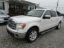 2013 WHITE Ford F-150 Platinum SuperCrew 6.5-ft. Bed 2WD (1FTFW1CT8DK) with an 3.5L V6 TURBO engine, Automatic transmission, located at 15016 S Hwy 231, Midland City, AL, 36350, (334) 983-3001, 31.306210, -85.495277 - Photo#2