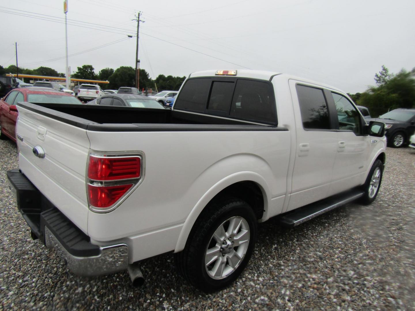 2013 WHITE Ford F-150 Platinum SuperCrew 6.5-ft. Bed 2WD (1FTFW1CT8DK) with an 3.5L V6 TURBO engine, Automatic transmission, located at 15016 S Hwy 231, Midland City, AL, 36350, (334) 983-3001, 31.306210, -85.495277 - Photo#7