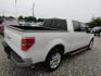 2013 WHITE Ford F-150 Platinum SuperCrew 6.5-ft. Bed 2WD (1FTFW1CT8DK) with an 3.5L V6 TURBO engine, Automatic transmission, located at 15016 S Hwy 231, Midland City, AL, 36350, (334) 983-3001, 31.306210, -85.495277 - Photo#7