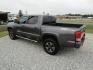 2017 Gray Toyota Tacoma SR5 Double Cab Long Bed V6 6AT 2WD (5TFAZ5CN7HX) with an 3.6L V6 DOHC 24V engine, Automatic transmission, located at 15016 S Hwy 231, Midland City, AL, 36350, (334) 983-3001, 31.306210, -85.495277 - Photo#5