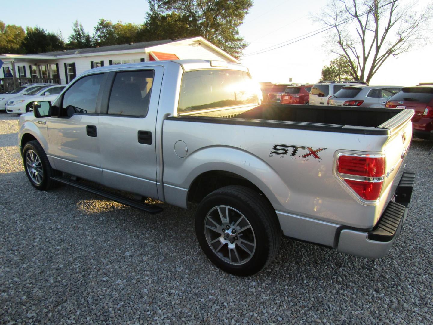 2014 Silver Ford F-150 FX2 SuperCrew 5.5-ft. Bed 2WD (1FTFW1CF0EF) with an 5.0L V8 engine, Automatic transmission, located at 15016 S Hwy 231, Midland City, AL, 36350, (334) 983-3001, 31.306210, -85.495277 - Photo#5