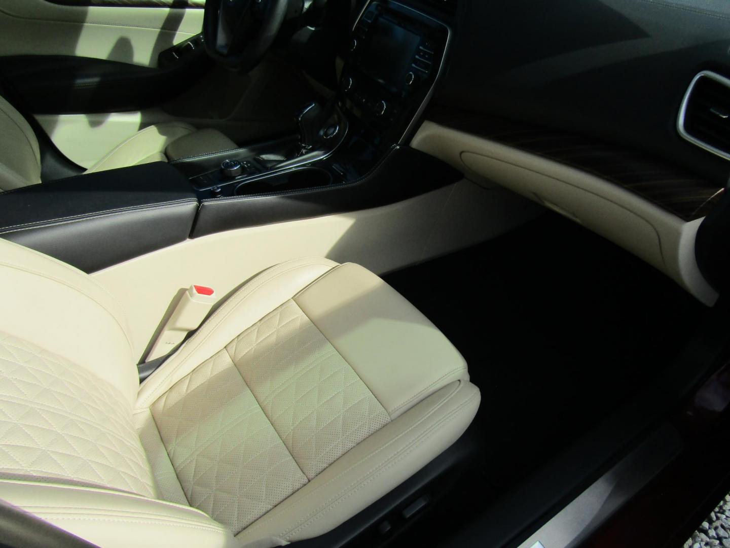 2016 Red Nissan Maxima 3.5 S (1N4AA6AP1GC) with an 3.5L V6 DOHC 24V engine, Automatic transmission, located at 15016 S Hwy 231, Midland City, AL, 36350, (334) 983-3001, 31.306210, -85.495277 - Photo#8