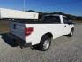 2014 White Ford F-150 STX 6.5-ft. Bed 2WD (1FTMF1CM0EK) with an 3.7L V6 DOHC 24V engine, Automatic transmission, located at 15016 S Hwy 231, Midland City, AL, 36350, (334) 983-3001, 31.306210, -85.495277 - Photo#5