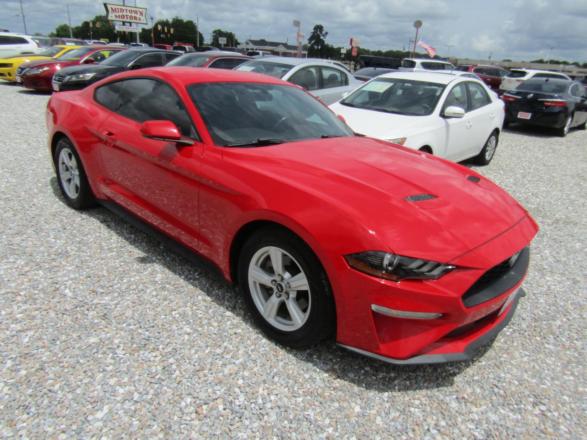 photo of 2019 Ford Mustang 