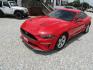 2019 Red Ford Mustang EcoBoost Coupe (1FA6P8TH7K5) with an 2.3L L4 DOHC 16V engine, Automatic transmission, located at 15016 S Hwy 231, Midland City, AL, 36350, (334) 983-3001, 31.306210, -85.495277 - Photo#2