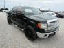 2014 DK GREEN Ford F-150 FX2 SuperCrew 5.5-ft. Bed 2WD (1FTFW1CFXEF) with an 5.0L V8 engine, Automatic transmission, located at 15016 S Hwy 231, Midland City, AL, 36350, (334) 983-3001, 31.306210, -85.495277 - Photo#0