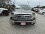 2014 DK GREEN Ford F-150 FX2 SuperCrew 5.5-ft. Bed 2WD (1FTFW1CFXEF) with an 5.0L V8 engine, Automatic transmission, located at 15016 S Hwy 231, Midland City, AL, 36350, (334) 983-3001, 31.306210, -85.495277 - Photo#1