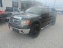 2014 DK GREEN Ford F-150 FX2 SuperCrew 5.5-ft. Bed 2WD (1FTFW1CFXEF) with an 5.0L V8 engine, Automatic transmission, located at 15016 S Hwy 231, Midland City, AL, 36350, (334) 983-3001, 31.306210, -85.495277 - Photo#2