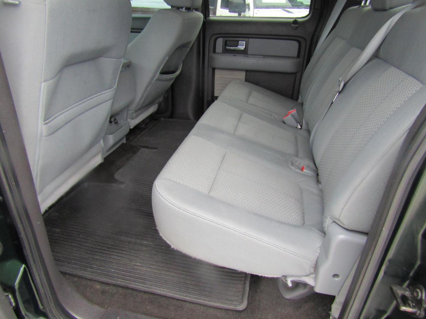 2014 DK GREEN Ford F-150 FX2 SuperCrew 5.5-ft. Bed 2WD (1FTFW1CFXEF) with an 5.0L V8 engine, Automatic transmission, located at 15016 S Hwy 231, Midland City, AL, 36350, (334) 983-3001, 31.306210, -85.495277 - Photo#3