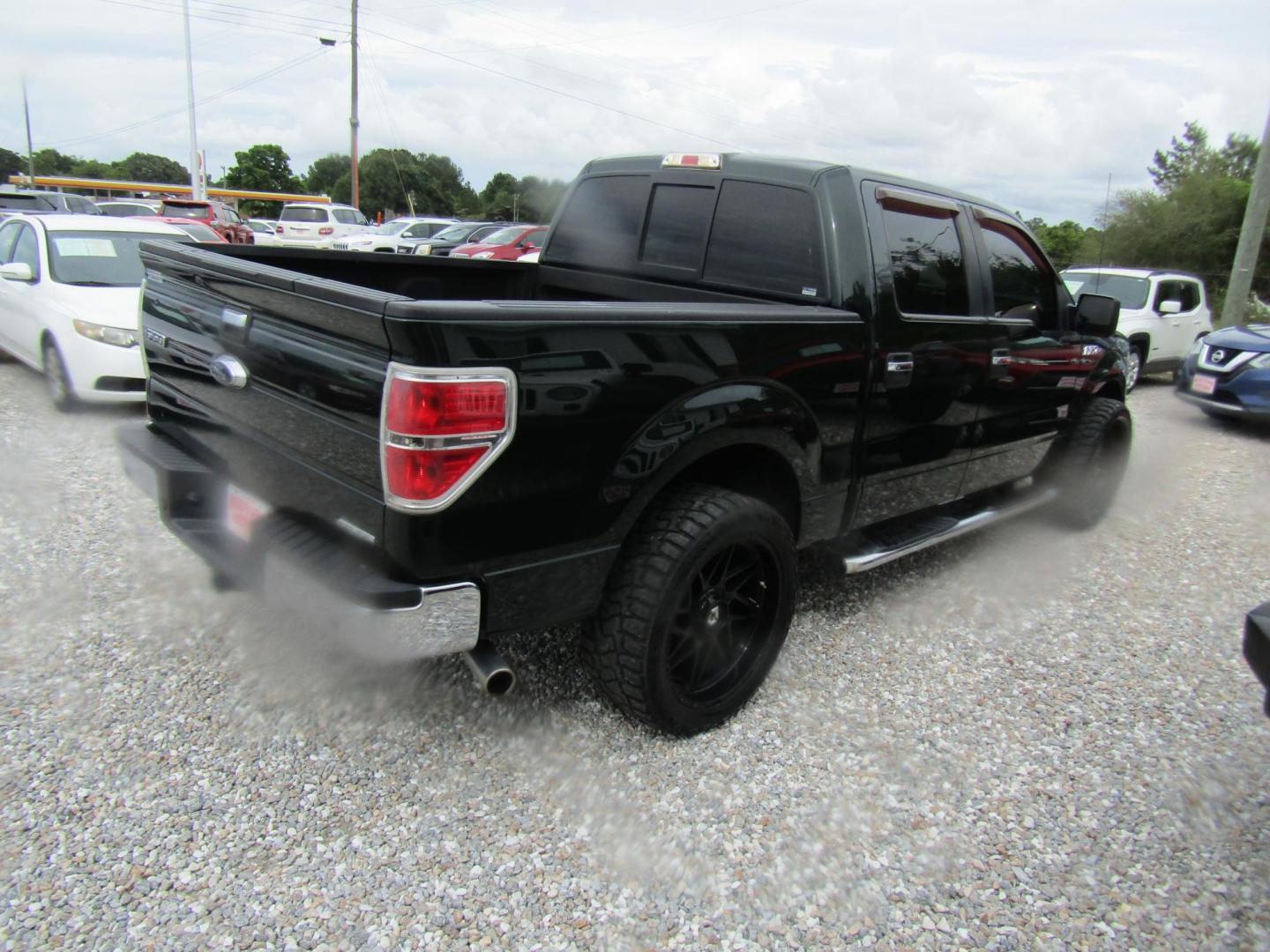 2014 DK GREEN Ford F-150 FX2 SuperCrew 5.5-ft. Bed 2WD (1FTFW1CFXEF) with an 5.0L V8 engine, Automatic transmission, located at 15016 S Hwy 231, Midland City, AL, 36350, (334) 983-3001, 31.306210, -85.495277 - Photo#6