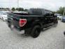 2014 DK GREEN Ford F-150 FX2 SuperCrew 5.5-ft. Bed 2WD (1FTFW1CFXEF) with an 5.0L V8 engine, Automatic transmission, located at 15016 S Hwy 231, Midland City, AL, 36350, (334) 983-3001, 31.306210, -85.495277 - Photo#6