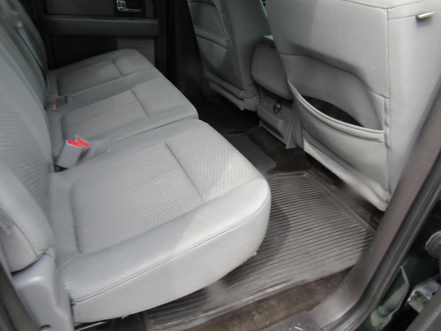 2014 DK GREEN Ford F-150 FX2 SuperCrew 5.5-ft. Bed 2WD (1FTFW1CFXEF) with an 5.0L V8 engine, Automatic transmission, located at 15016 S Hwy 231, Midland City, AL, 36350, (334) 983-3001, 31.306210, -85.495277 - Photo#7