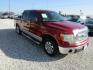 2014 Red Ford F-150 FX2 SuperCrew 5.5-ft. Bed 2WD (1FTFW1CF4EK) with an 5.0L V8 engine, Automatic transmission, located at 15016 S Hwy 231, Midland City, AL, 36350, (334) 983-3001, 31.306210, -85.495277- Photo#0