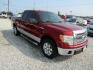 2014 Red Ford F-150 XLT SuperCab 8-ft. Bed 2WD (1FTEX1CM0EF) with an 3.7L V6 DOHC 24V engine, Automatic transmission, located at 15016 S Hwy 231, Midland City, AL, 36350, (334) 983-3001, 31.306210, -85.495277- Photo#0