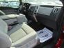 2014 Red Ford F-150 XLT SuperCab 8-ft. Bed 2WD (1FTEX1CM0EF) with an 3.7L V6 DOHC 24V engine, Automatic transmission, located at 15016 S Hwy 231, Midland City, AL, 36350, (334) 983-3001, 31.306210, -85.495277- Photo#8