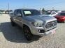 2017 Silver Toyota Tacoma SR5 Double Cab Long Bed V6 6AT 2WD (5TFAZ5CN2HX) with an 3.6L V6 DOHC 24V engine, Automatic transmission, located at 15016 S Hwy 231, Midland City, AL, 36350, (334) 983-3001, 31.306210, -85.495277- Photo#0