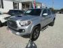 2017 Silver Toyota Tacoma SR5 Double Cab Long Bed V6 6AT 2WD (5TFAZ5CN2HX) with an 3.6L V6 DOHC 24V engine, Automatic transmission, located at 15016 S Hwy 231, Midland City, AL, 36350, (334) 983-3001, 31.306210, -85.495277- Photo#2